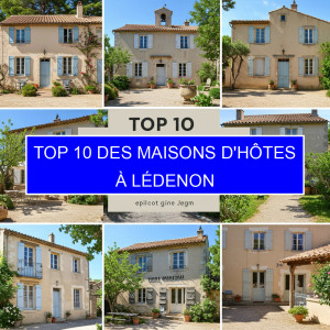 Top 2 des Maisons d'hôtes à Lédenon